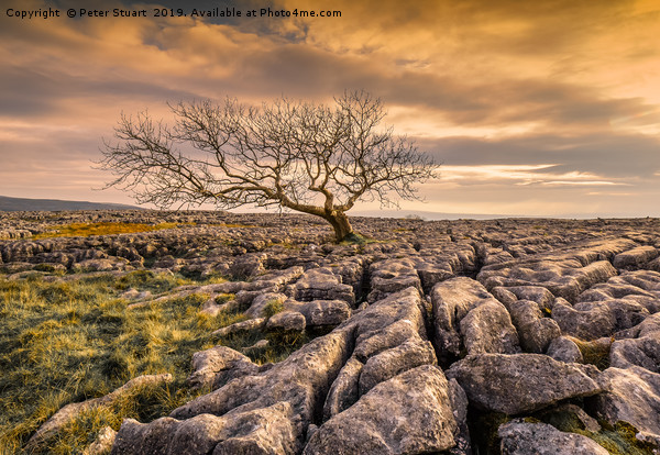 Twistleton Scar in the Yorkshire Dales Picture Board by Peter Stuart
