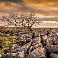 Buy canvas prints of Twistleton Scar in the Yorkshire Dales by Peter Stuart