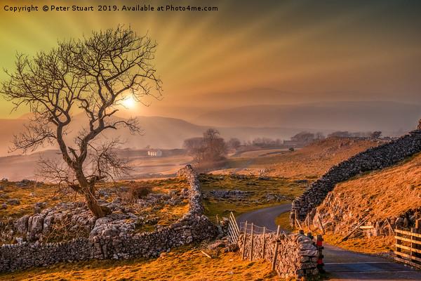 Sunset at Winskill stones Picture Board by Peter Stuart