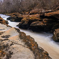 Buy canvas prints of The Strid by Peter Stuart