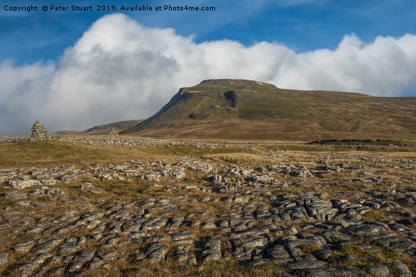 Ingleborough and Whernside in the Yorkshire Dales Picture Board by Peter Stuart