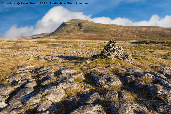 Ingleborough and Whernside in the Yorkshire Dales Picture Board by Peter Stuart