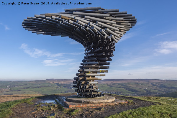 Singing Ringing Tree Picture Board by Peter Stuart