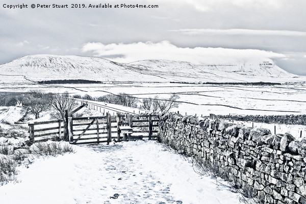 Ingleborough from Ribblehead  Picture Board by Peter Stuart