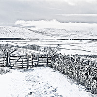 Buy canvas prints of Ingleborough from Ribblehead  by Peter Stuart