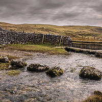 Buy canvas prints of Mastiles Lane in the Yorkshire Dales by Peter Stuart