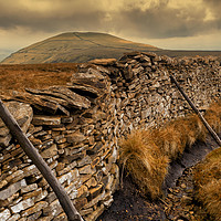 Buy canvas prints of Pen-y-ghent and the Yorkshire 3 Peaks by Peter Stuart
