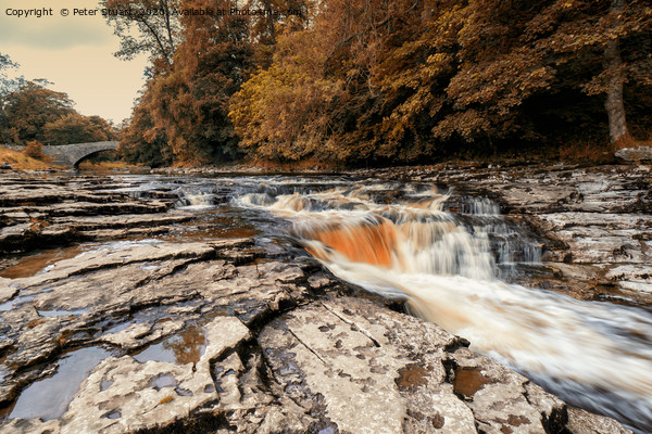 Stainforth Force, North Yorkshire Picture Board by Peter Stuart