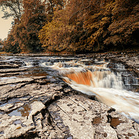 Buy canvas prints of Stainforth Force, North Yorkshire by Peter Stuart