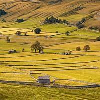 Buy canvas prints of Arncliffe, North Yorkshire by Peter Stuart
