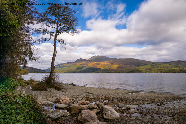 Ben Lomond on the shores of Loch lomond Picture Board by Peter Stuart