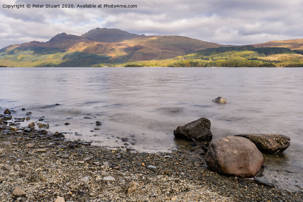 Ben Lomond on the shores of Loch lomond Picture Board by Peter Stuart