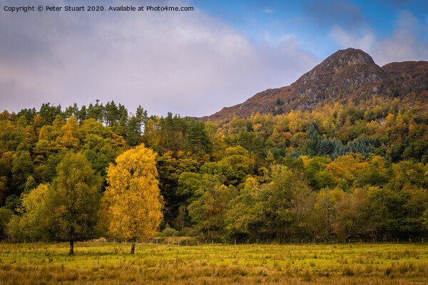 Ben A'an is a hill in the Trossachs Picture Board by Peter Stuart