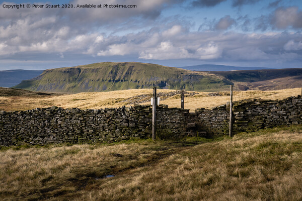 Fountains Fell from Malham Tarn Picture Board by Peter Stuart
