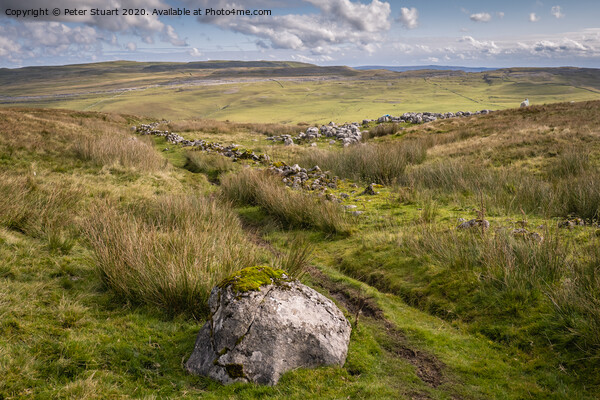 Fountains Fell from Malham Tarn Picture Board by Peter Stuart