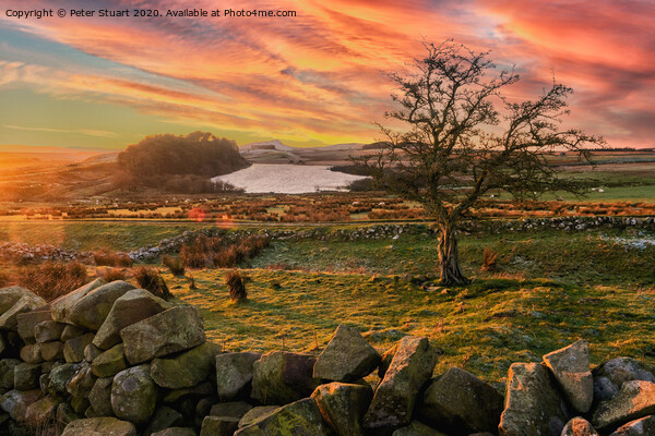 Hadrians Wall from Once Brewed Picture Board by Peter Stuart