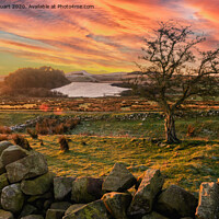 Buy canvas prints of Hadrians Wall from Once Brewed by Peter Stuart