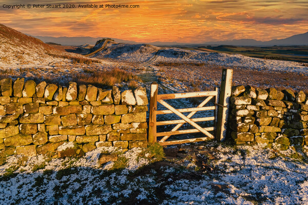 Hadrians Wall from Once Brewed Picture Board by Peter Stuart