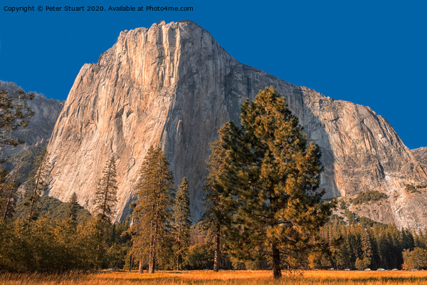 El Capitan, also known as El Cap in Yosemite  Picture Board by Peter Stuart