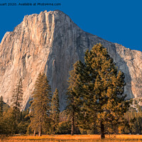 Buy canvas prints of El Capitan, also known as El Cap in Yosemite  by Peter Stuart