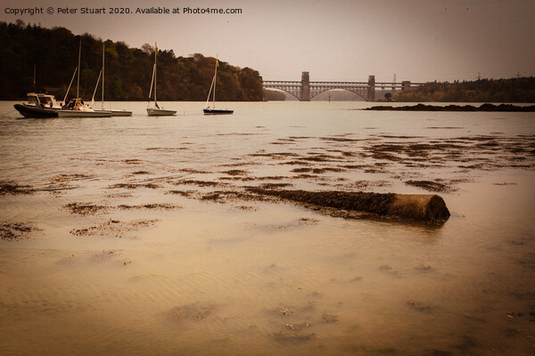 Sailing boats on the Menai Straits near Anglesey Picture Board by Peter Stuart
