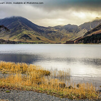 Buy canvas prints of Lonely tree at Buttermere in the Lake District by Peter Stuart