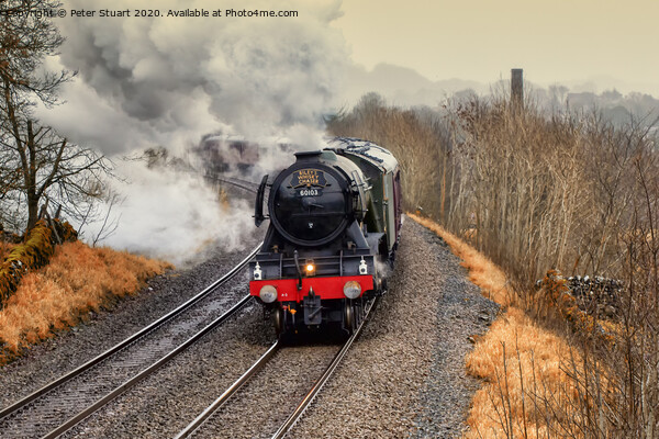 The Flying Scotsman on the Settle to Carlisle train line Picture Board by Peter Stuart