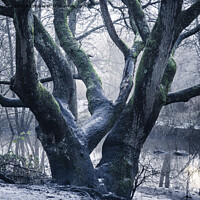 Buy canvas prints of Sankey Valley at St Helens in Merseyside by Peter Stuart