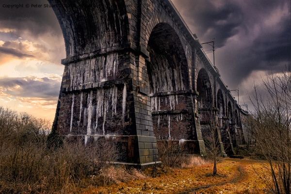 Sankey Valley Viaduct near Newton le Willows Picture Board by Peter Stuart