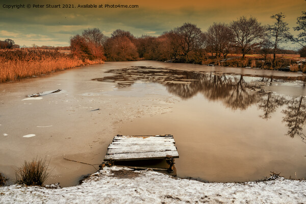 Frozen pond at Sankey Valley nature reserve Picture Board by Peter Stuart