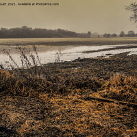 Buy canvas prints of Sankey Valley near to St Helens in Merseyside by Peter Stuart