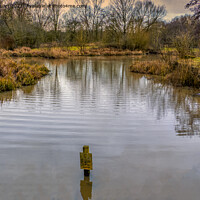 Buy canvas prints of Sankey Valley country park in St Helens by Peter Stuart