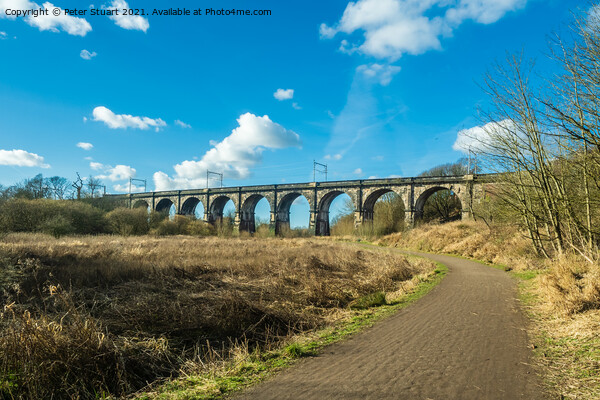 Sankey Valley Viaduct Picture Board by Peter Stuart