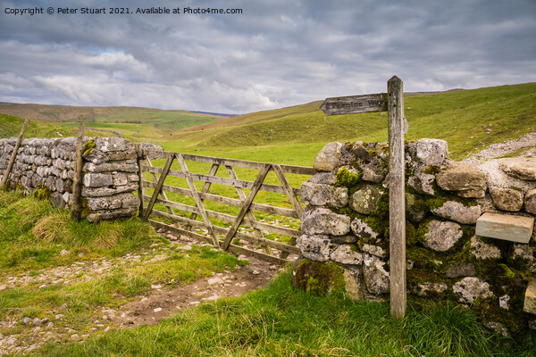 Along the Pennine Way to Fountains Fell Picture Board by Peter Stuart