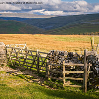 Buy canvas prints of Fountains Fell from Malham Tarn by Peter Stuart