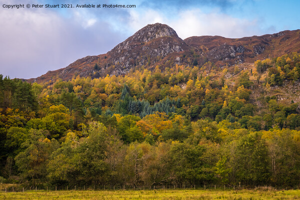 Ben A'an is a hill in the Trossachs Picture Board by Peter Stuart