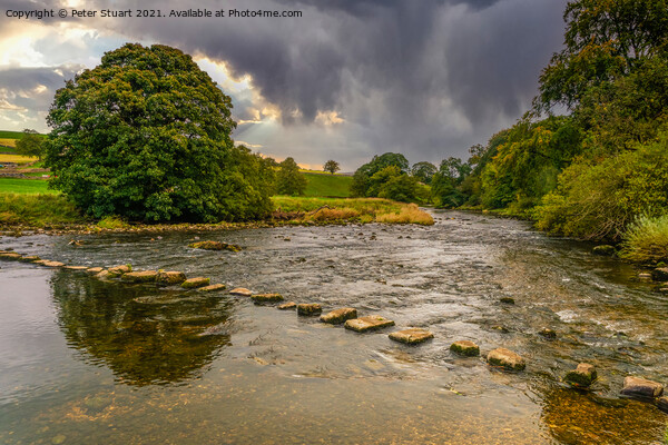 Stepping Stones on the River Wharfe above Burnsall Picture Board by Peter Stuart