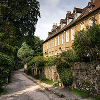 Buy canvas prints of Willow Vale Frome by Dan Hopkins