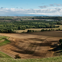 Buy canvas prints of Harvested field from Cley Hill by Dan Hopkins