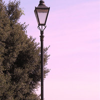 Buy canvas prints of Old Lamp post by Samantha Daniels