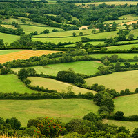 Buy canvas prints of Patchwork of countryside by Sharon Kingston