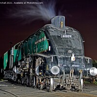 Buy canvas prints of Nocturnal A4 60009 by David Birchall
