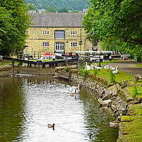 Buy canvas prints of Canalside at Sowerby Bridge. by David Birchall