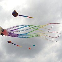 Buy canvas prints of Novelty octopus kite. by David Birchall