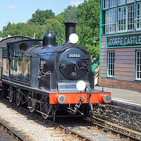 Buy canvas prints of Steam locomotive M7 class 30053 at Corfe Castle. by David Birchall