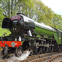 Buy canvas prints of Steam locomotive 60103 Flying Scotsman. by David Birchall