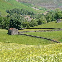 Buy canvas prints of Swaledale barns and wildflower meadow. by David Birchall