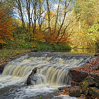 Buy canvas prints of Autumnal woodland stream. by David Birchall