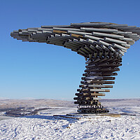 Buy canvas prints of The Singing Ringing Tree by David Birchall