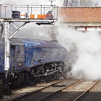 Buy canvas prints of Steam locomotive 60007 Sir Nigel Gresley by David Birchall